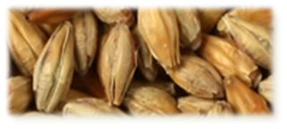 AromeMalt
