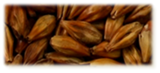 Crystal Malt - EBC 150