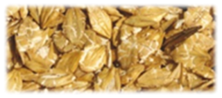 Chit Wheat Flakes - EBC 3-7
