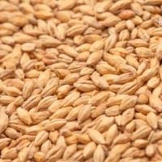 Amber Malt 