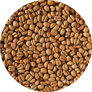 Torrified Wheat Malt - EBC 3-5