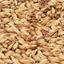 Billede af Cara Clair Malt, Økologisk - Castle Malting - 25 KG